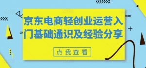 京东电商轻创业运营入门基础通识及经验分享|淘骐网赚资源库