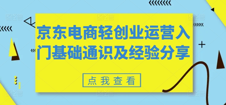 京东电商轻创业运营入门基础通识及经验分享|淘骐网赚资源库
