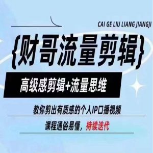 财哥流量剪辑，高级感剪辑+流量思维，教你剪出有质感的个人IP口播视频|淘骐网赚资源库