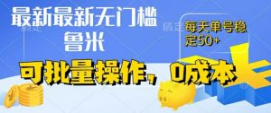 最新0成本项目，不看广告、不养号，纯挂机单号一天50+，收益时时可见，提现秒到账【揭秘】|淘骐网赚资源库
