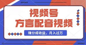利用方言配音视频，赚视频号分成计划收益，操作简单，还有千粉号额外变现，每月多赚几千块钱【揭秘】|淘骐网赚资源库