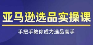 亚马逊选品实操课程,快速掌握亚马逊选品的技巧,覆盖亚马逊选品所有渠道|淘骐网赚资源库