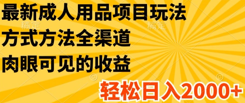 最新成人用品项目玩法，方式方法全渠道，轻松日入2K+【揭秘】|淘骐网赚资源库