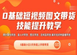 0基础短视频图文带货实操技能提升教学(直播课+视频课),0基础小白3天快速上手做带货|淘骐网赚资源库