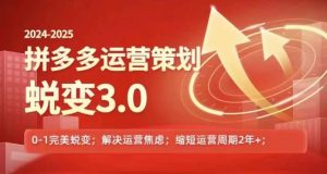 2024-2025拼多多运营策略蜕变3.0,0~1完美蜕变,解决信息焦虑|淘骐网赚资源库