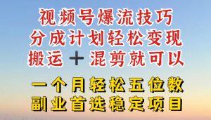 视频号爆流技巧，分成计划轻松变现，搬运 +混剪就可以，一个月轻松五位数稳定项目【揭秘】|淘骐网赚资源库