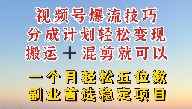 视频号爆流技巧,分成计划轻松变现,搬运 +混剪就可以,一个月轻松五位数稳定项目【揭秘】|淘骐网赚资源库