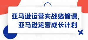 亚马逊运营实战必修课,亚马逊运营成长计划|淘骐网赚资源库