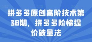 拼多多原创高阶技术第38期，拼多多阶梯提价破量法|淘骐网赚资源库