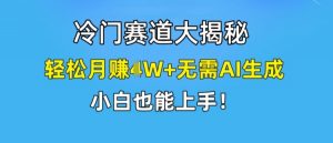 冷门赛道大揭秘,轻松月赚1W+无需AI生成,小白也能上手【揭秘】|淘骐网赚资源库
