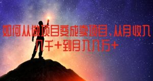 如何从做项目变成卖项目,从月收入几千到月入几万【揭秘】|淘骐网赚资源库