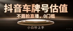 抖音车牌号估值，不露脸直播，0门槛，小白秒上手【揭秘】|淘骐网赚资源库