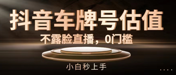 抖音车牌号估值，不露脸直播，0门槛，小白秒上手【揭秘】|淘骐网赚资源库