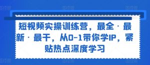 短视频实操训练营,最全·最新·最干,从0-1带你学IP,紧贴热点深度学习|淘骐网赚资源库
