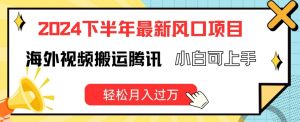 2024下半年最新风口项自,海外视频搬运腾讯,小白可上手,轻松月入过万【揭秘】|淘骐网赚资源库