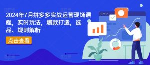2024年7月拼多多实战运营现场课程，实时玩法，爆款打造，选品、规则解析|淘骐网赚资源库