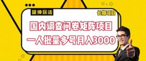 国内调查问卷矩阵项目，一人批量多号月入3000【揭秘】|淘骐网赚资源库