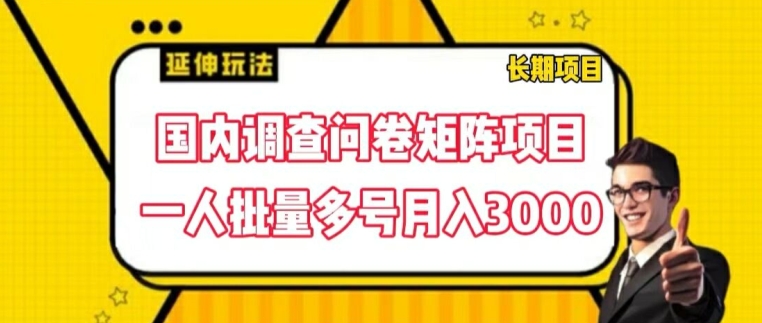 国内调查问卷矩阵项目，一人批量多号月入3000【揭秘】|淘骐网赚资源库
