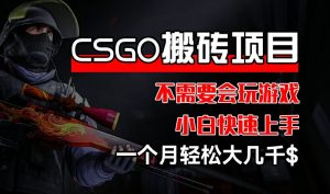 CSGO 装备搬砖项目,操作简单,不需要会玩游戏,小白也能快速上手,一个月轻松大几千【揭秘】|淘骐网赚资源库