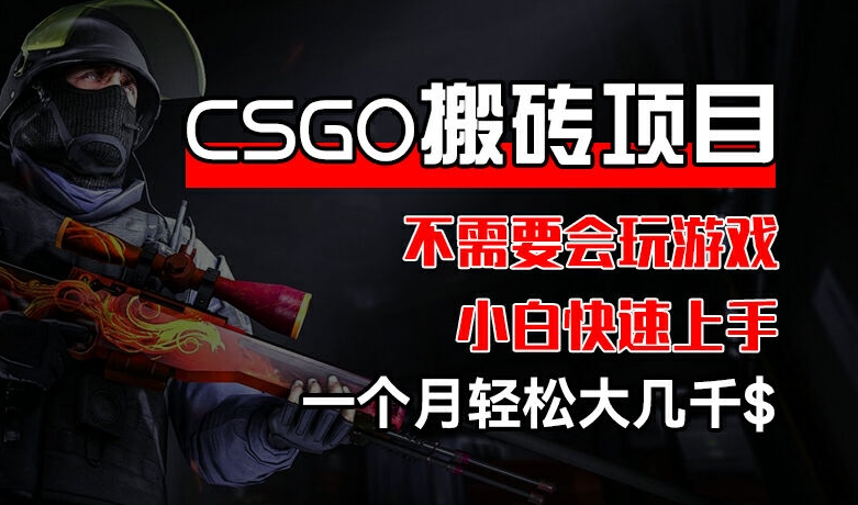 CSGO 装备搬砖项目，操作简单，不需要会玩游戏，小白也能快速上手，一个月轻松大几千【揭秘】|淘骐网赚资源库
