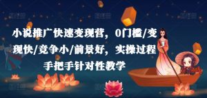 小说推广快速变现营,0门槛/变现快/竞争小/前景好,实操过程手把手针对性教学|淘骐网赚资源库