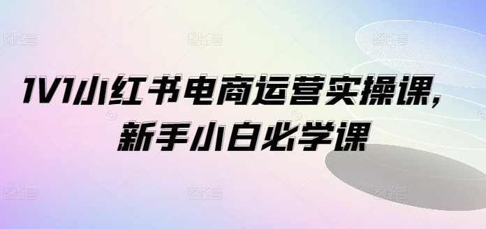 1V1小红书电商运营实操课,新手小白必学课|淘骐网赚资源库