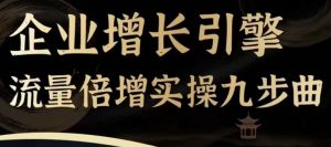 企业增长引擎流量倍增实操九步曲,一套课程帮你找到快速、简单、有效、可复制的获客+变现方式,|淘骐网赚资源库