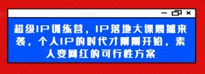 超级IP训练营，IP落地大课震撼来袭，个人IP的时代才刚刚开始，素人变网红的可行性方案|淘骐网赚资源库
