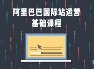 阿里巴巴国际站课程,阿里巴巴国际站运营基础课程|淘骐网赚资源库
