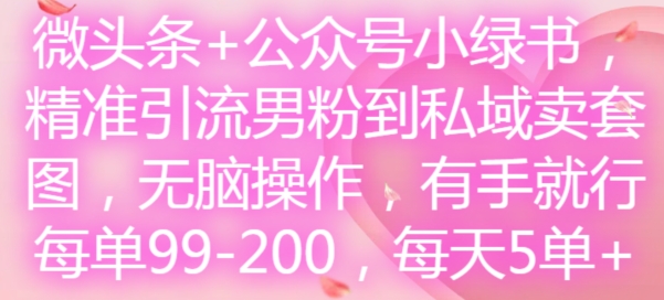 微头条+公众号小绿书,精准引流男粉到私域卖套图,无脑操作,有手就行,每单99-200,每天5单|淘骐网赚资源库