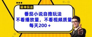 番茄小说自撸玩法,不看播放量,不看视频质量,每天200+【揭秘】|淘骐网赚资源库