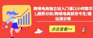 跨境电商独立站入门课(2小时精华),趋势分析/跨境电商前世今生/建站演示等|淘骐网赚资源库