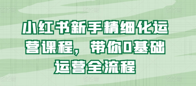 小红书新手精细化运营课程,带你0基础运营全流程|淘骐网赚资源库