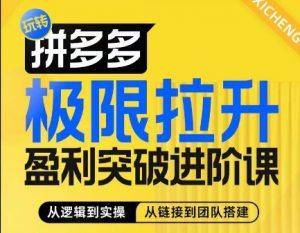 拼多多极限拉升盈利突破进阶课，​从算法到玩法，从玩法到团队搭建，体系化系统性帮助商家实现利润提升|淘骐网赚资源库