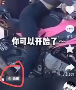2024年7月苹果手机动图搬运技术|淘骐网赚资源库