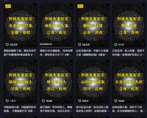 大案纪实解说课，2024年最新抖音大案教学教程|淘骐网赚资源库