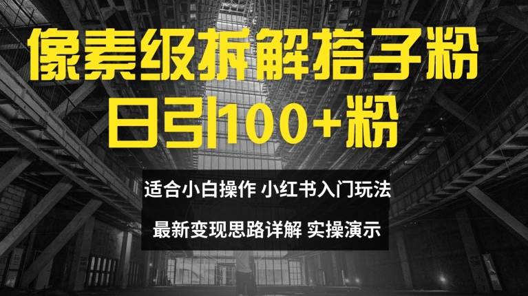 像素级拆解搭子粉,日引100+,小白看完可上手,最新变现思路详解【揭秘】|淘骐网赚资源库