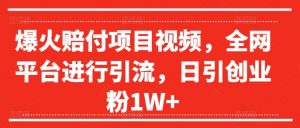 爆火赔付项目视频，全网平台进行引流，日引创业粉1W+【揭秘】|淘骐网赚资源库