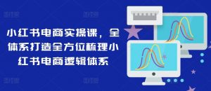 小红书电商实操课，全体系打造全方位梳理小红书电商逻辑体系|淘骐网赚资源库