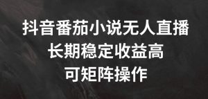 抖音番茄小说无人直播,长期稳定收益高,可矩阵操作【揭秘】|淘骐网赚资源库