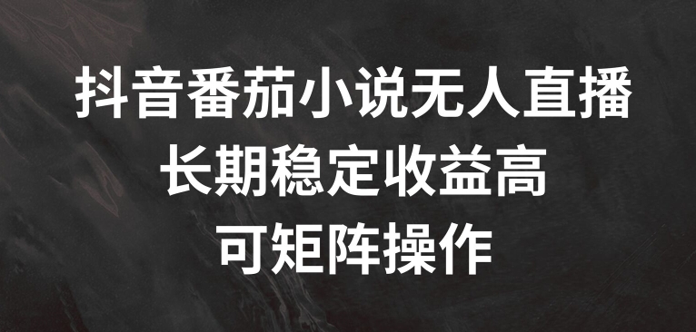 抖音番茄小说无人直播,长期稳定收益高,可矩阵操作【揭秘】|淘骐网赚资源库