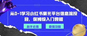 从0-1学习小红书聚光平台信息流投放,保姆级入门教程|淘骐网赚资源库