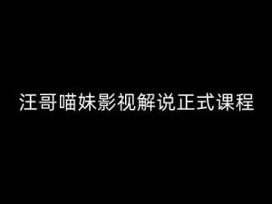 汪哥影视解说正式课程:剪映/PR教学/视解说剪辑5大黄金法则/全流程剪辑7把利器等等|淘骐网赚资源库