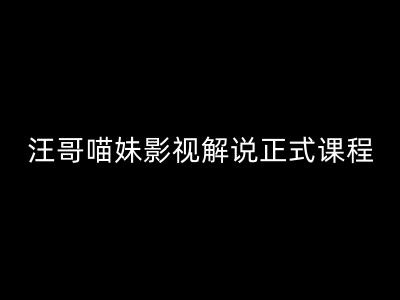 汪哥影视解说正式课程:剪映/PR教学/视解说剪辑5大黄金法则/全流程剪辑7把利器等等|淘骐网赚资源库