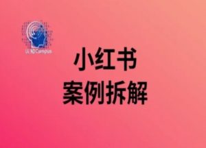 小红书案例拆解，深度解读小红书40万粉|淘骐网赚资源库