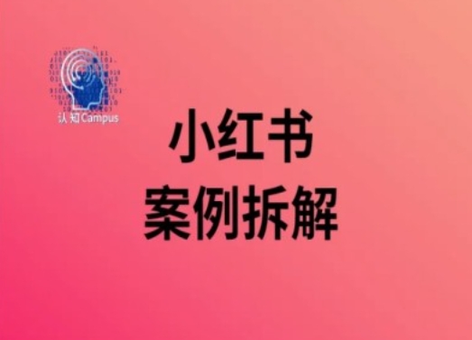 小红书案例拆解,深度解读小红书40万粉|淘骐网赚资源库