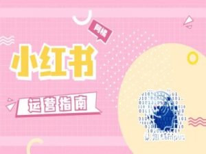 小红书运营指南,没有套路,全是经验|淘骐网赚资源库