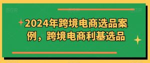 2024年跨境电商选品案例,跨境电商利基选品(更新)|淘骐网赚资源库