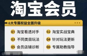 淘宝会员【淘宝所有课程,全面分析对手】,初级到高手全系实战宝典|淘骐网赚资源库