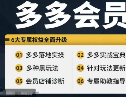 拼多多会员,拼多多实战宝典+实战落地实操,从新手到高阶内容全面覆盖|淘骐网赚资源库
